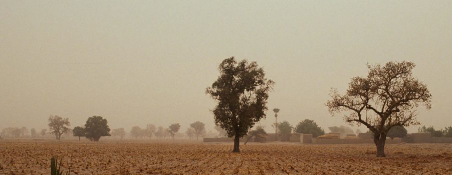 allianzmission-feld-mali